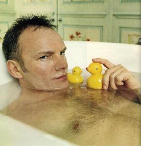 sting_duck